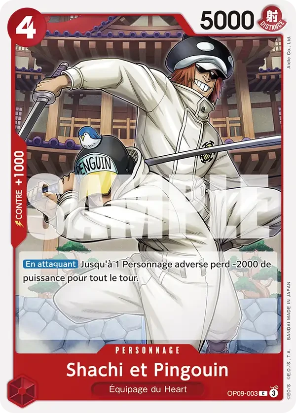 Shachi et Pingouin